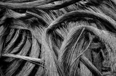 pexels-photo-5279318-5279318 Intricate black-and-white close-up of intertwined metal wires showcasing industrial textures.